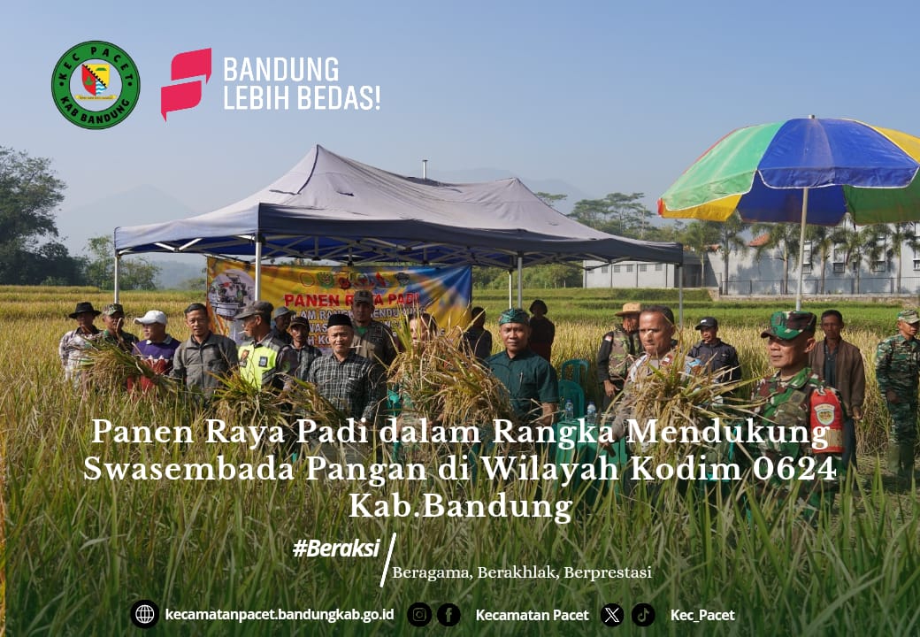 kasi-ketentraman-dan-ketertiban-umum-hadiri-zoom-meeting-panen-raya-padi-dalam-rangka-swasembada-pangan
